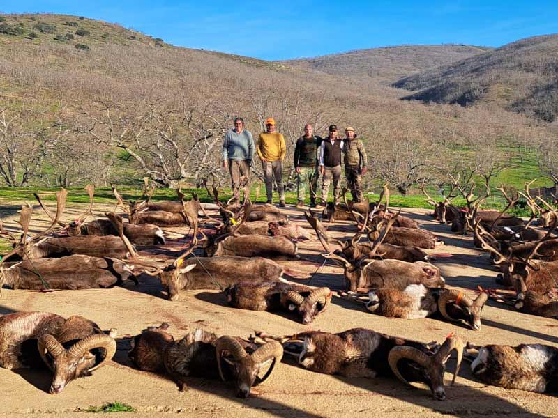 Resultado Montería Cardizales 2023 Cinegética Cordobesa